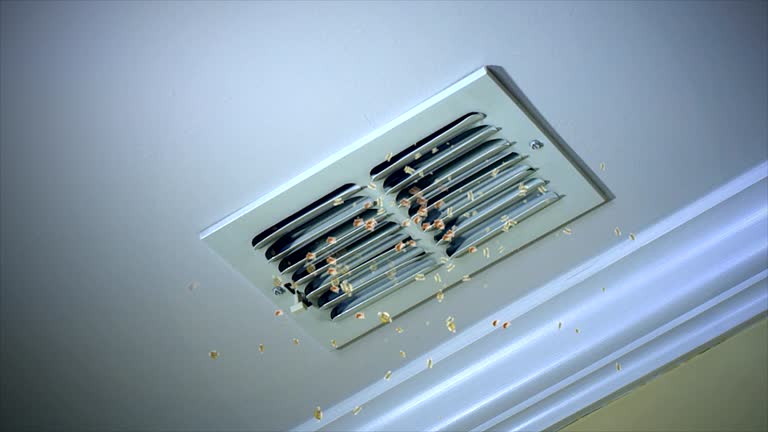 Best Ductwork Cleaning Services  in Dysart, IA